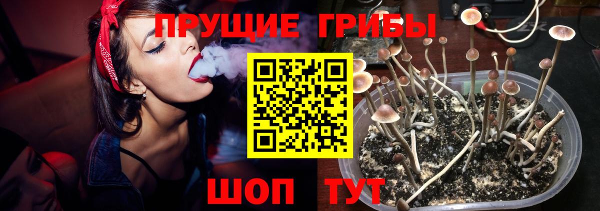 Галлюциногенные грибы GOLDEN TEACHER Ялта